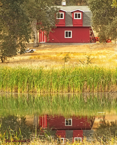 Gay-Abarbanell-Red-Barn-reflections