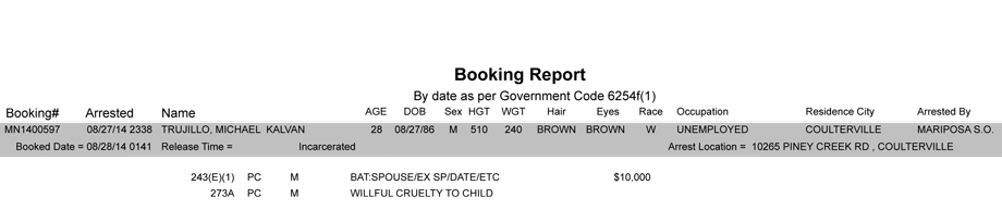 BOOKING-REPORT-08-28-2014