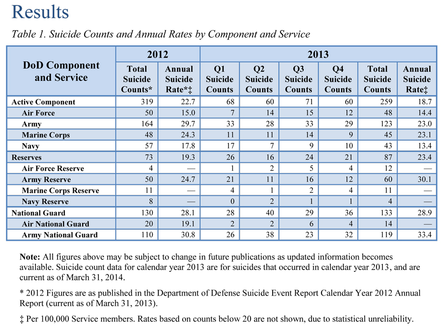 DoD-Quarterly-Suicide-Report-CY2013-Q4-3