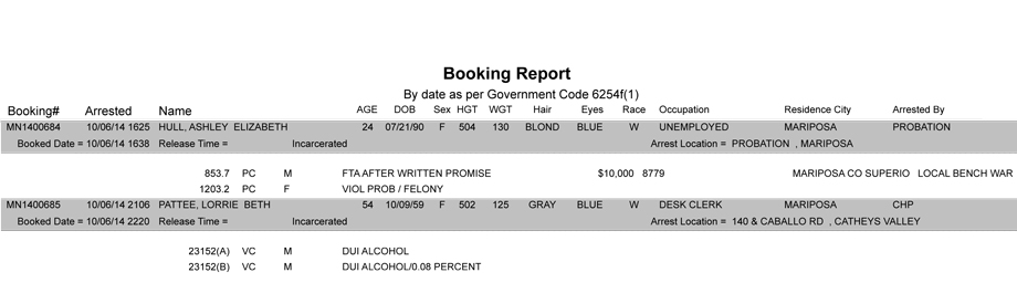 booking-report-10-06-2014