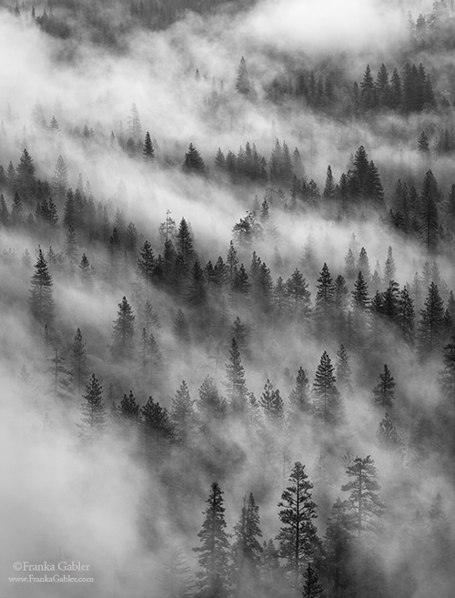 Franka-Gabler-Rising-Mist-Valley-Floor-Yosemite