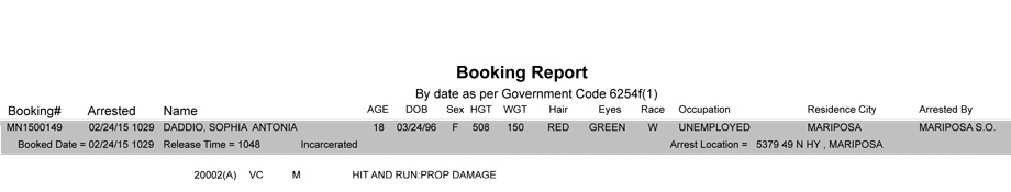 booking-report-2-24-2015