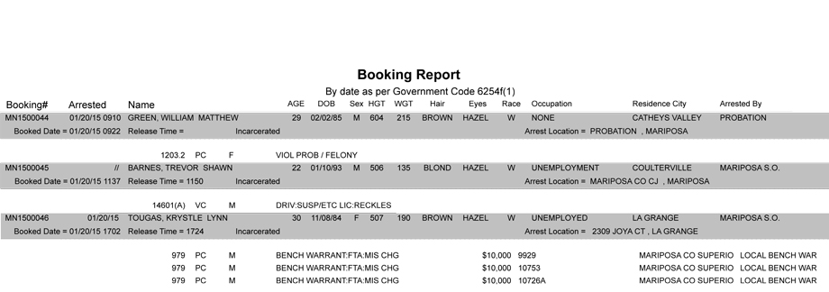 booking-report-1-20-2015