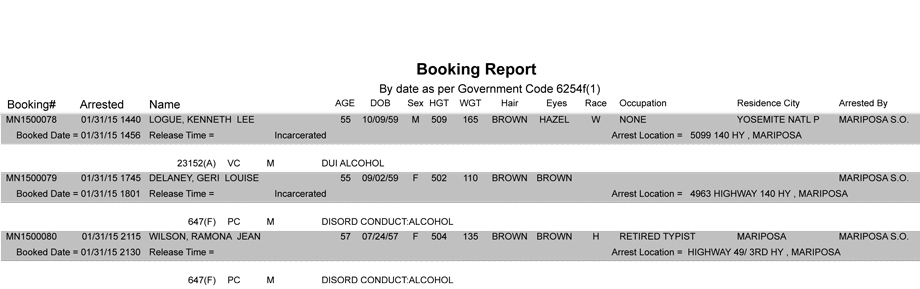 booking-report-1-31-2015
