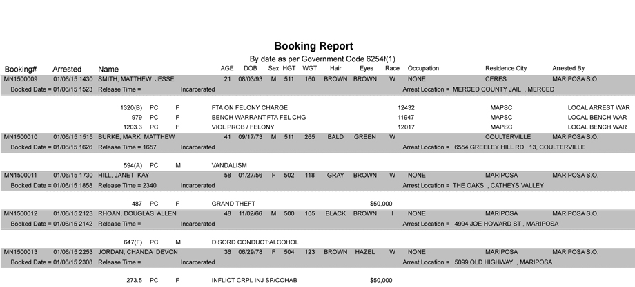 booking-report-1-6-2015