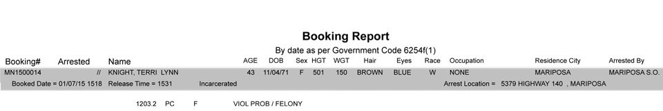 booking-report-1-7-2015