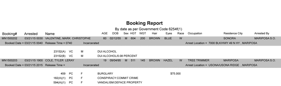 booking-report-3-21-2015