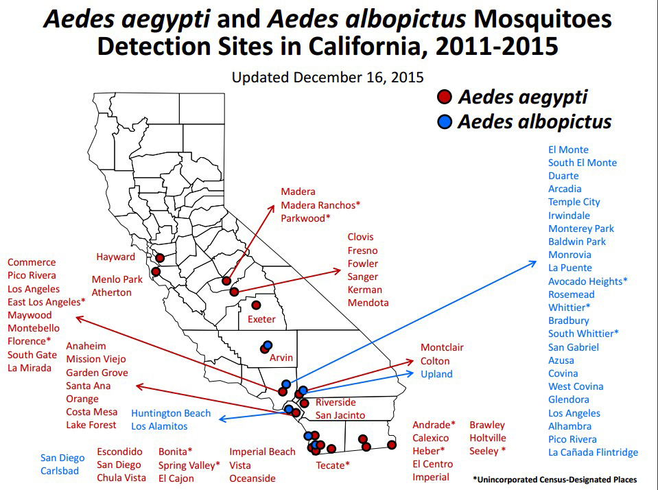 aedes aegypti and aedes albopictus mosquitoes detection sites in california