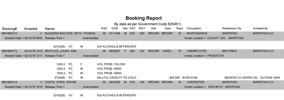 mariposa county booking report 2 12 2016