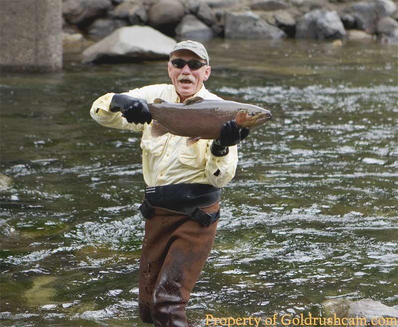 trout in mariposa county merced river 1 132 sierra sun times