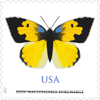 california dogface butterfly stamp