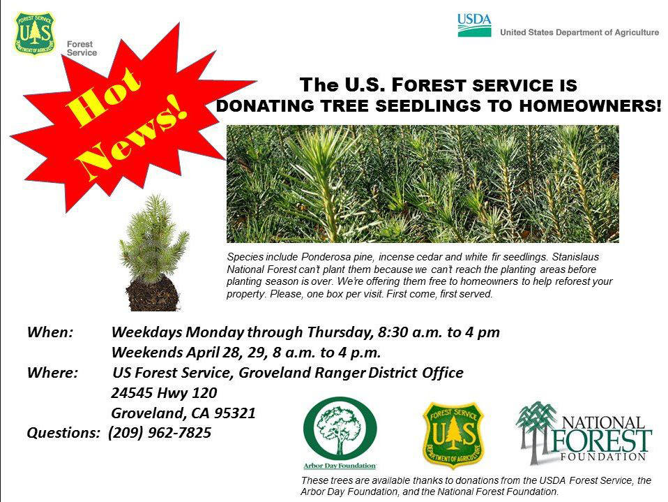 us forest service groveland tree seedlings