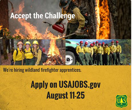 us forest service jobs