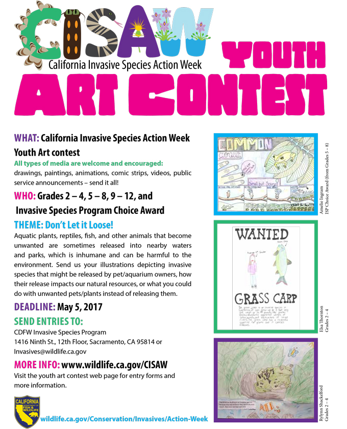 2017 cisaw youth poster contest announcement flier