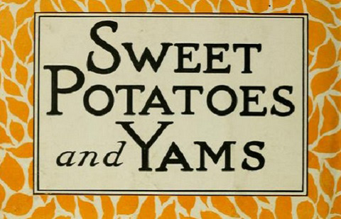 sweet pot yams