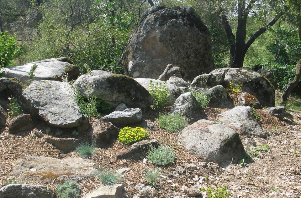 Master Gardeners Rock garden, May 08 cr