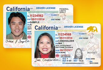 california drivers license credit dmv