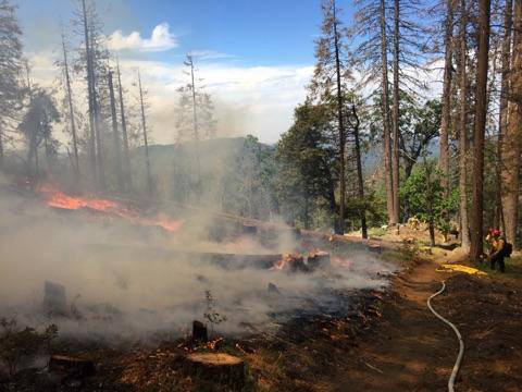 sierra national forest burn credit usda sierranf