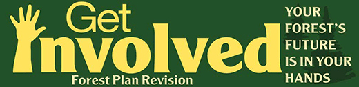 forest plan revision logo