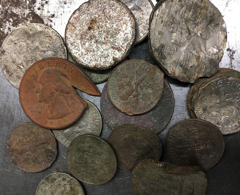 mutilated coins