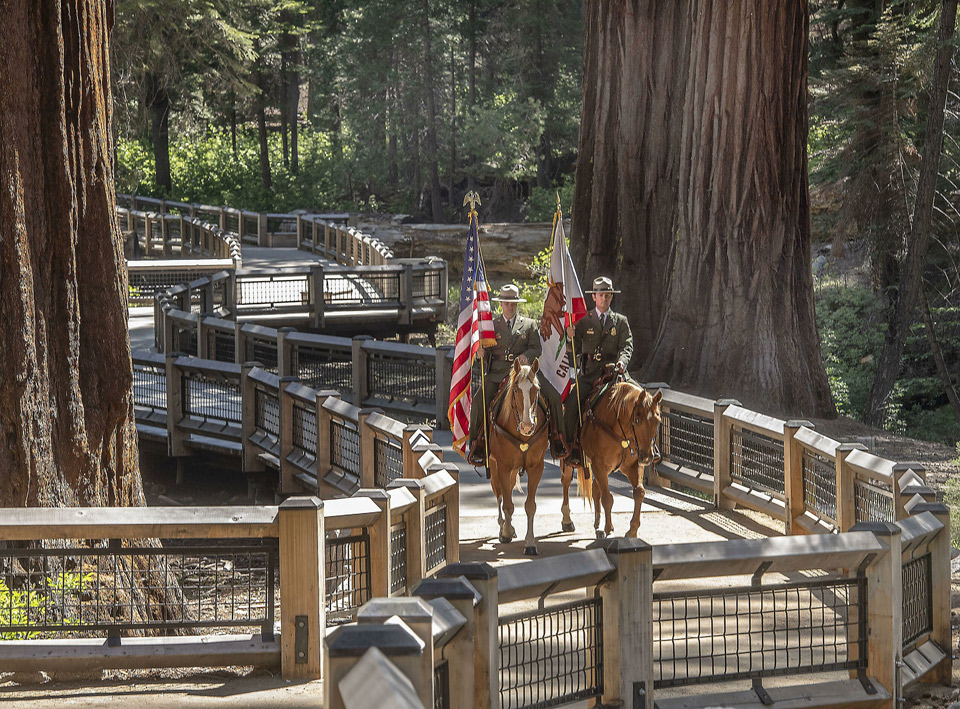 Image 1 Yosemite National Park Mounted Patrol Presents the Colors at the Mariposa Grove Restoration Ceremony on June 14 2018