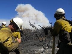 news california firefighters and smoke