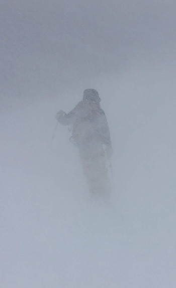 yosemite skier in white out lember dome