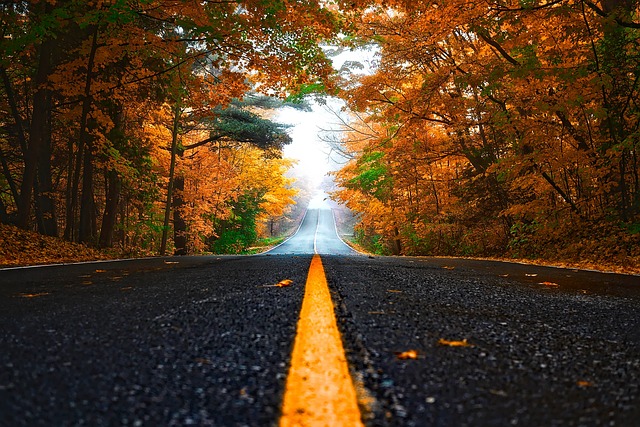 autumn g557c20a7e 640 fall leaves road auto