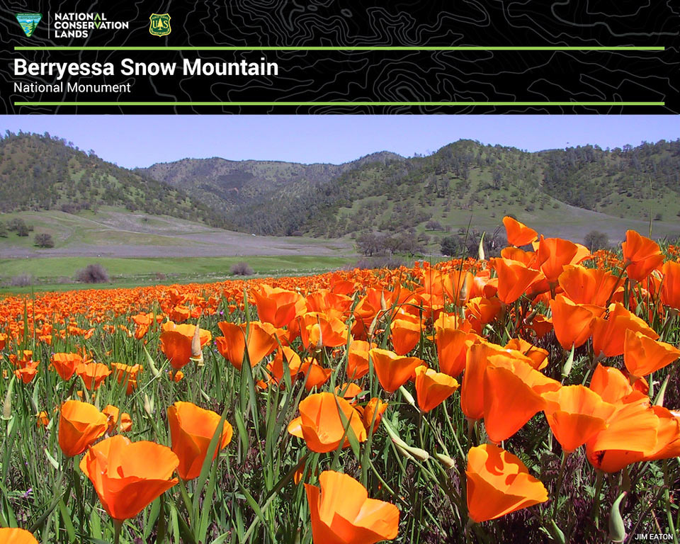 Berryessa Snow Mountain National Monument credit blm