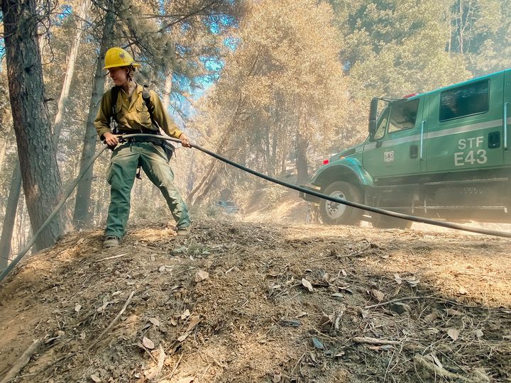 stanislaus national forest firefighter