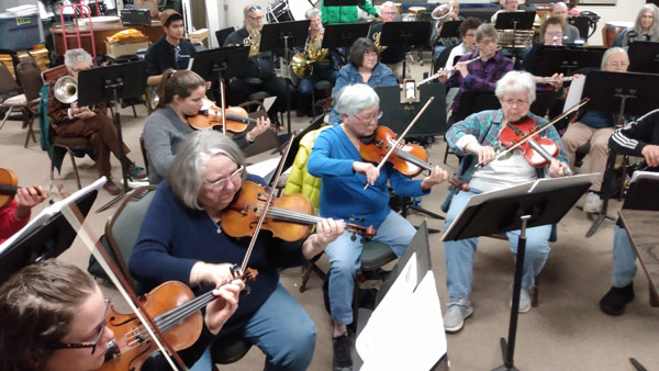 MYSO Musicians part of string and wind sections 600