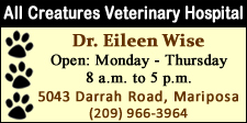 a2 All Creatures Veterinary