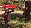 yosemite-apples-small--038