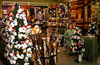 Soroptimist-christmas-4.-smalljpg