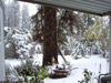 First-snow-11-21-10-003-dell-small