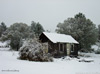 Nov-2010-Snow-bg-small