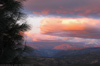 november-alpen-glow-rc-small