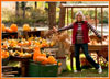 jerseydale-pumpkin-patch-cg-small