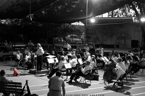 Mariposa Symphony Orchestra orchestra1