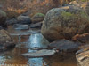 autumn-ps-small