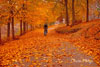 fall-photo-cp-small