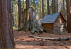 nelder-grove-small