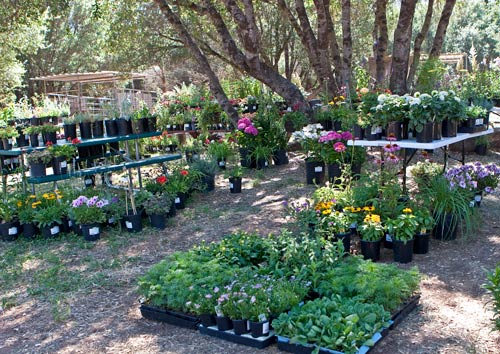 gardners-eden-1