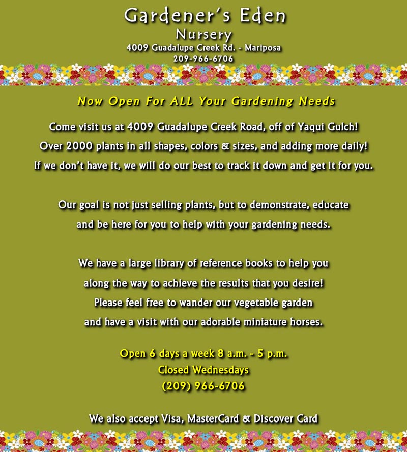 Gardener's-Eden-Flyer