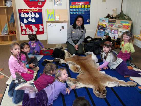 Kiwanis-Forest-Animals