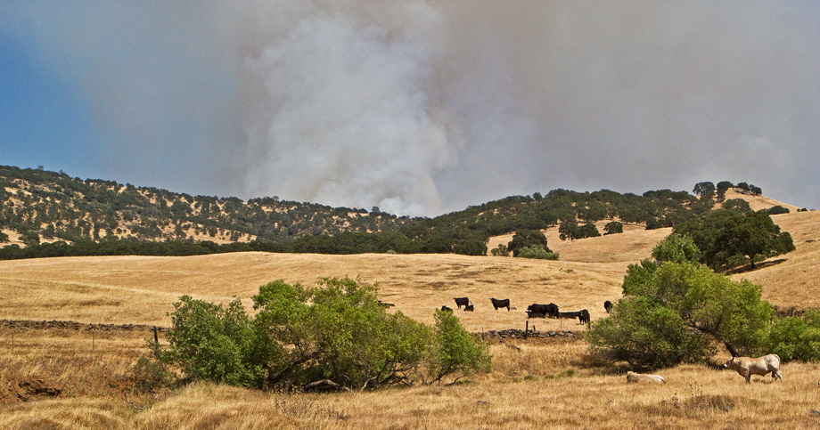 gaines-fire-1