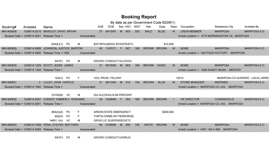 booking-report-12-06-2014