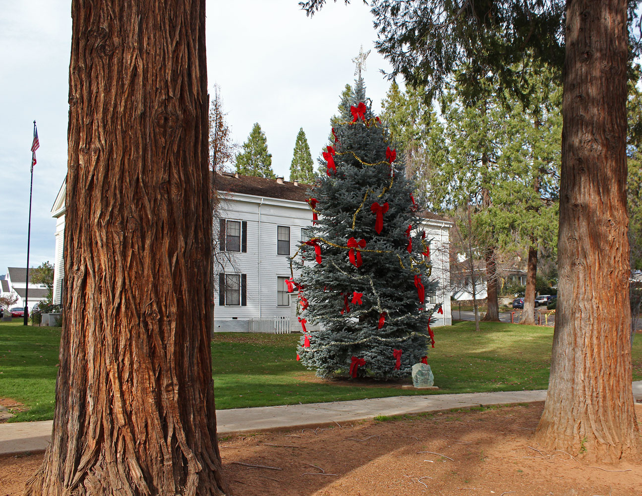 mariposa-christmas-tree