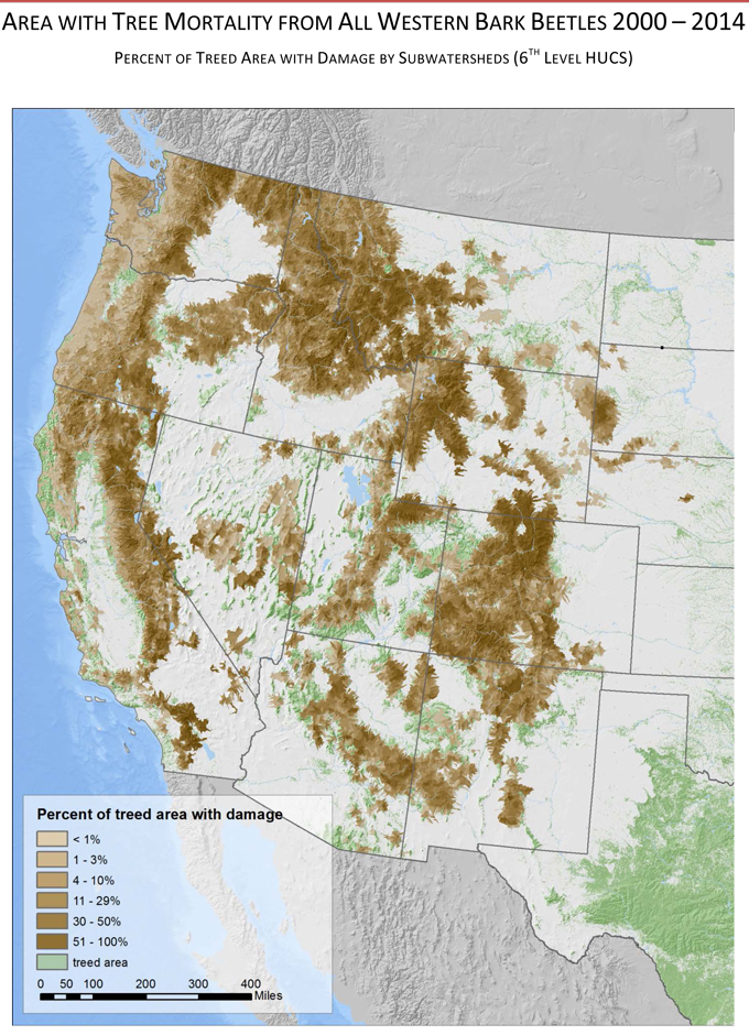 Newly Released Forest Service Tree Mortality Charts for Western Bark ...