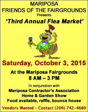 Friends of the Fair Flea Market 2015
